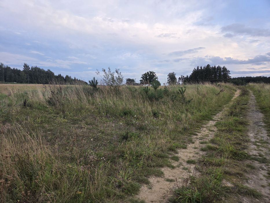 Działka budowlana ul. leśna - działka 45/36 - 1140 m² - Widok 2
