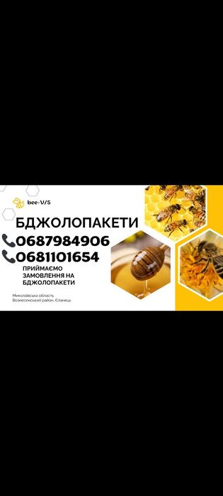 Бджолопакети на замовлення