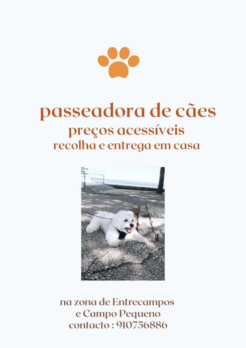 Passeio cães em Lisboa