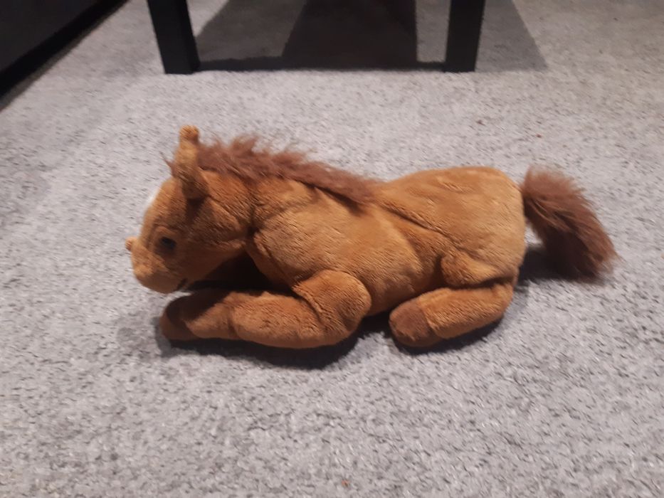 Pluszowy konik miś