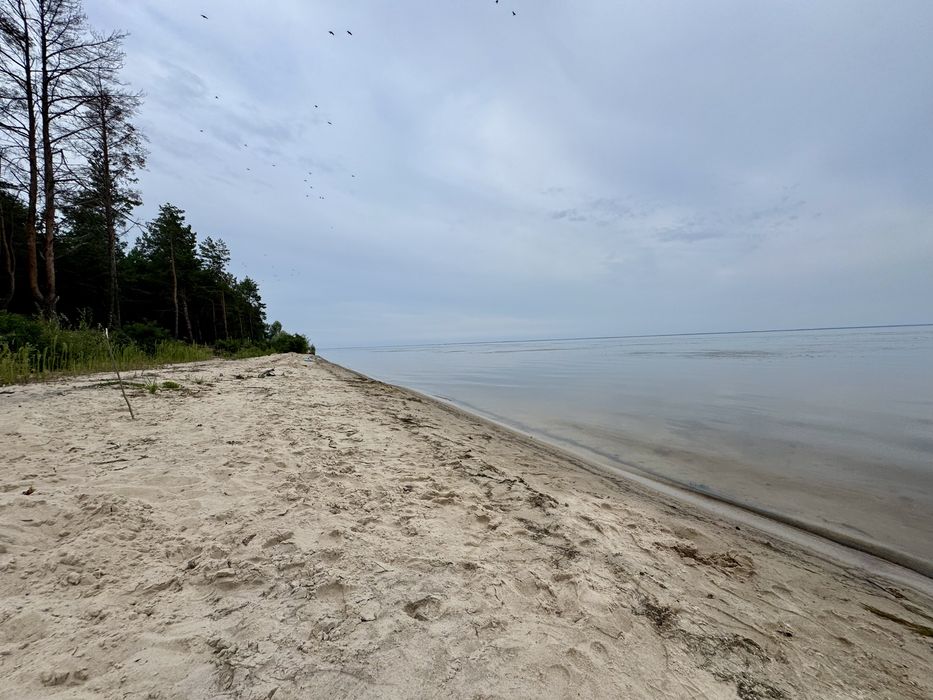 Продаж ділянки від 40 соток до 10Га. с. Ясногородка Киівська область