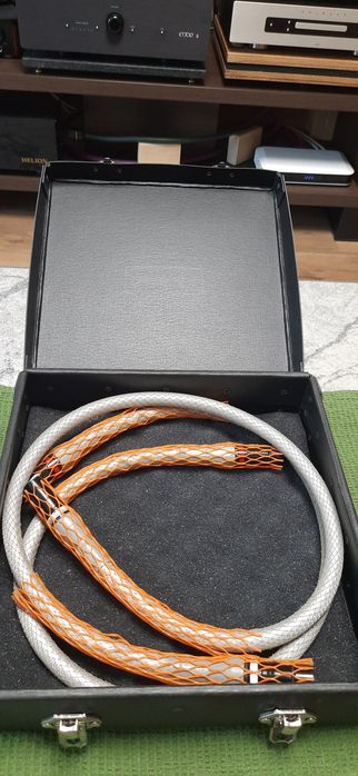 Acoustic Zen Silver Reference 2 XLR2