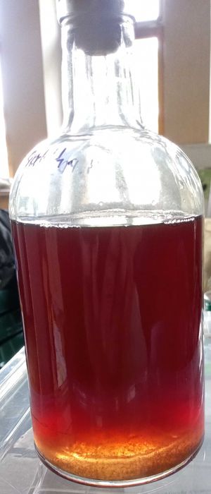 Гидролаты розы, мяты и... сезонные растения