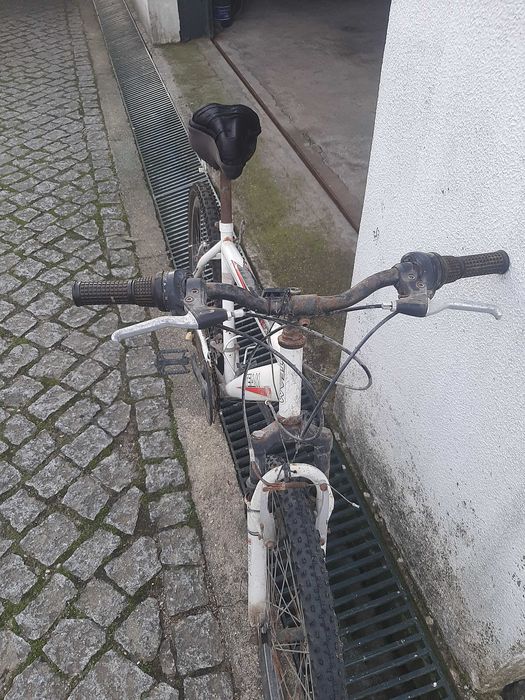 Bicicleta de Adulto Team Bike