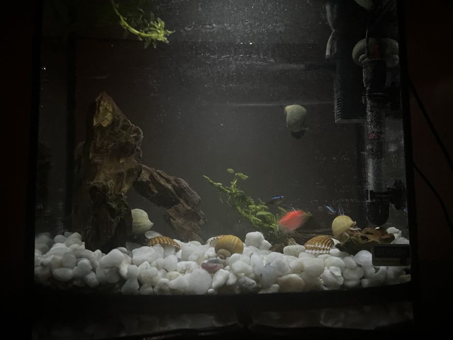 акравіум  з обладнанням