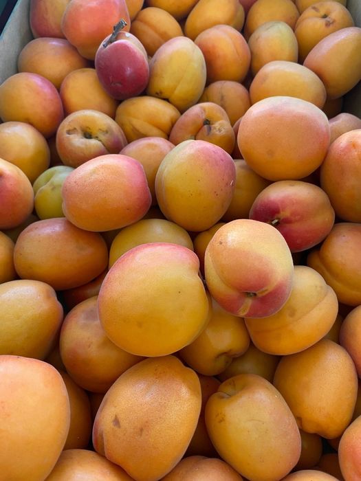 Caixas de alperces deliciosas entregas ao domicilio