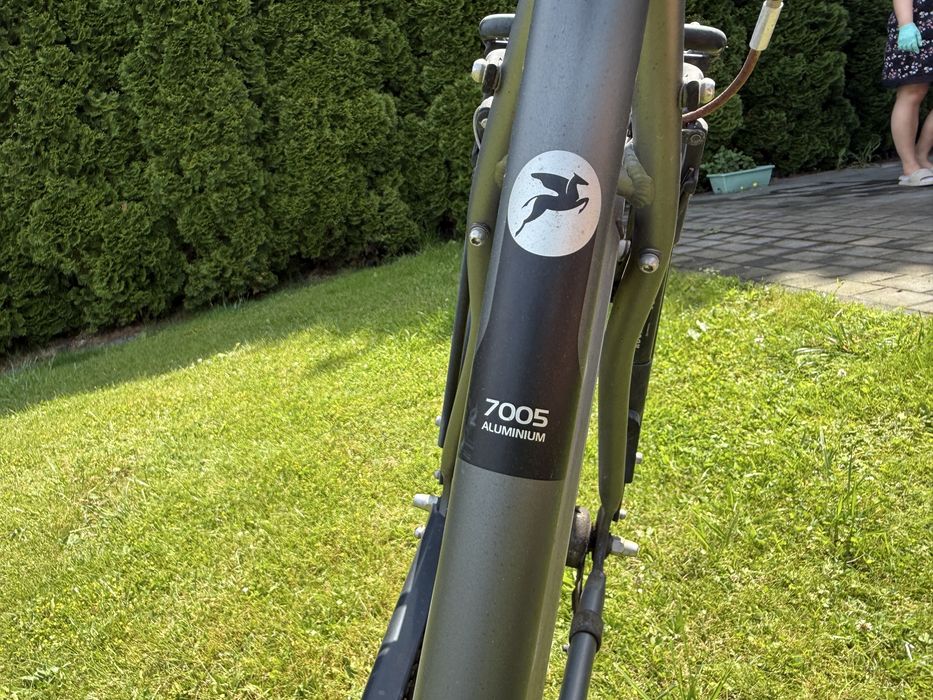 Rower pegasus męski