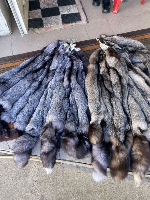 Хутро чорно-бурої лисиці