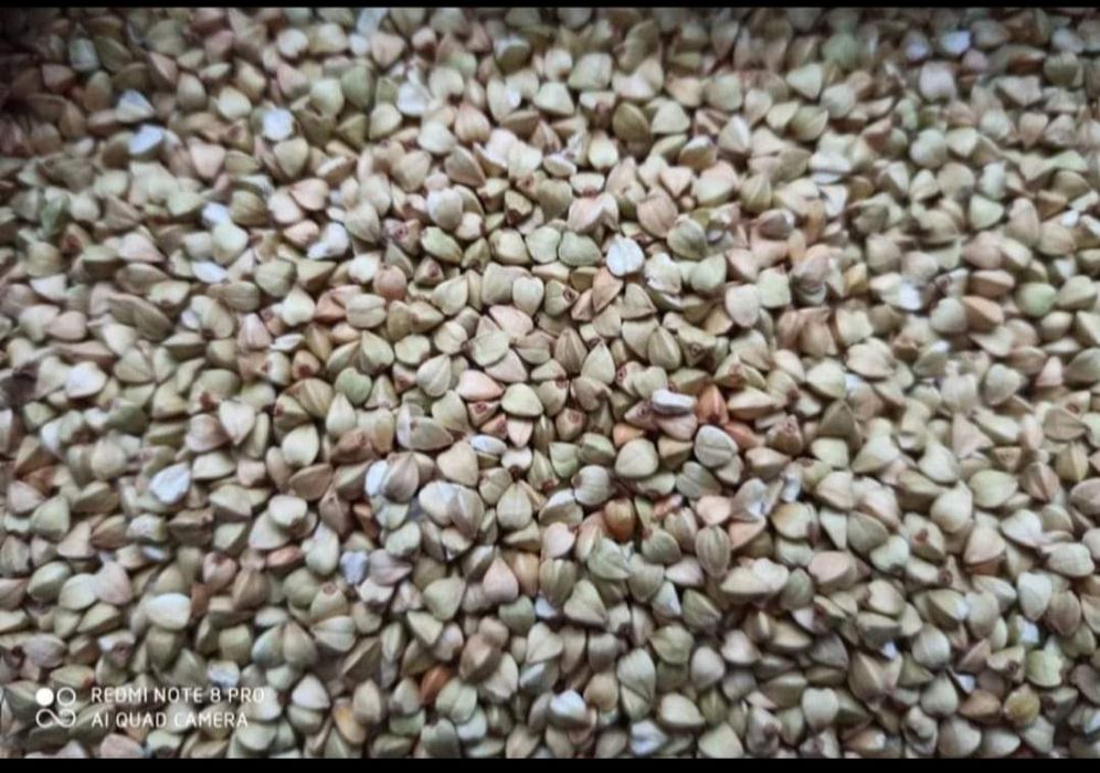 Kasza gryczana niepalona najlepsza w kraju naturalna zdrowa 3kg