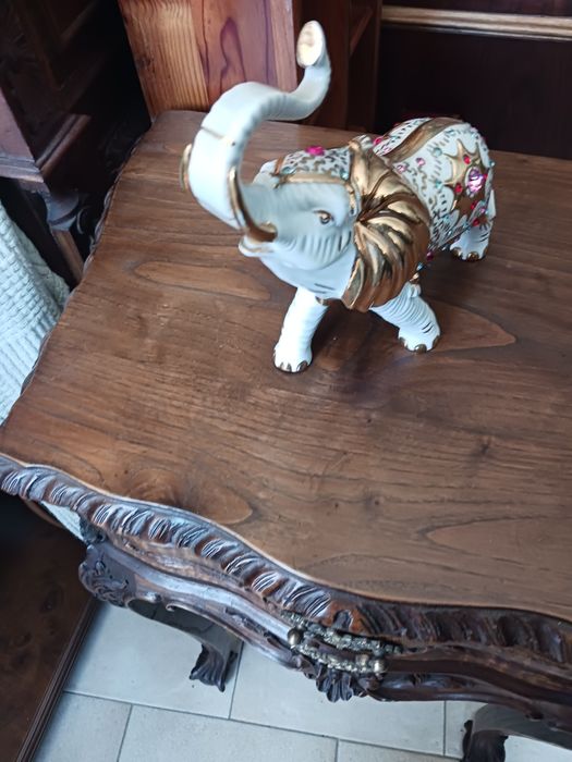 Elefante  bonito