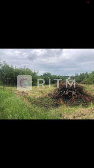 Продаж земельної ділянки в с. Озерце — 12 соток