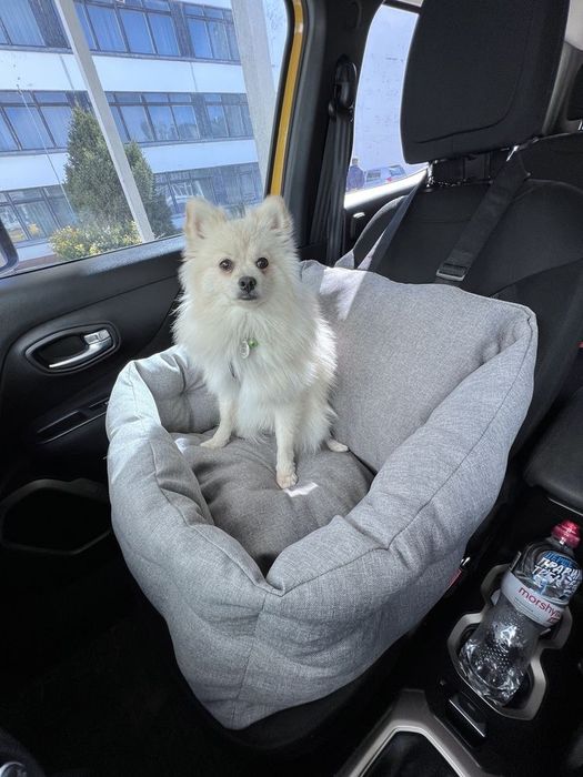 Автокрісло "BEIGE" для собак