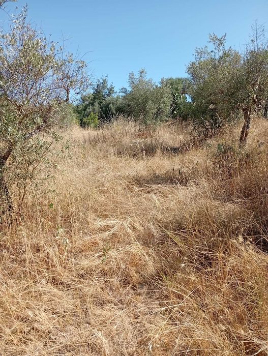 À venda de terreno em rua cabeço de antonio afonso-Ladoeiro