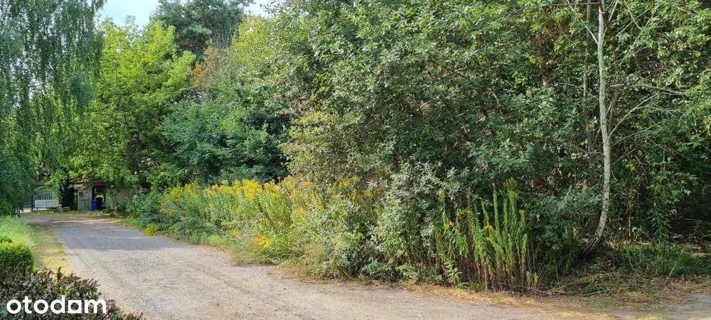 Piękna Zielona Działka Z Dobrym Dojazdem