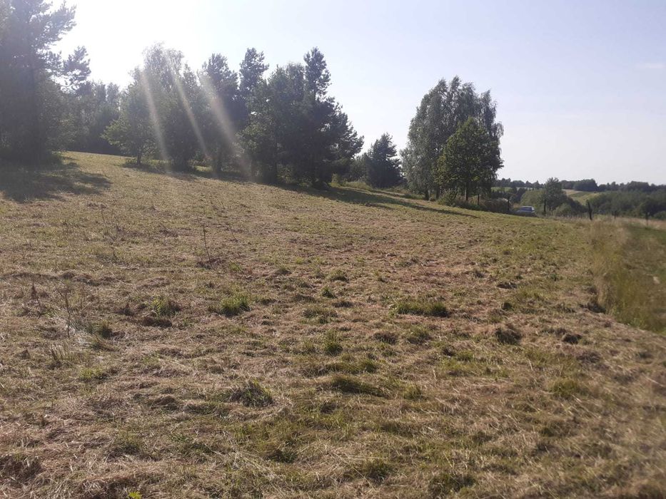Działka 1,0321 ha z warunkami zabudowy – Natura 2000 - Więcej