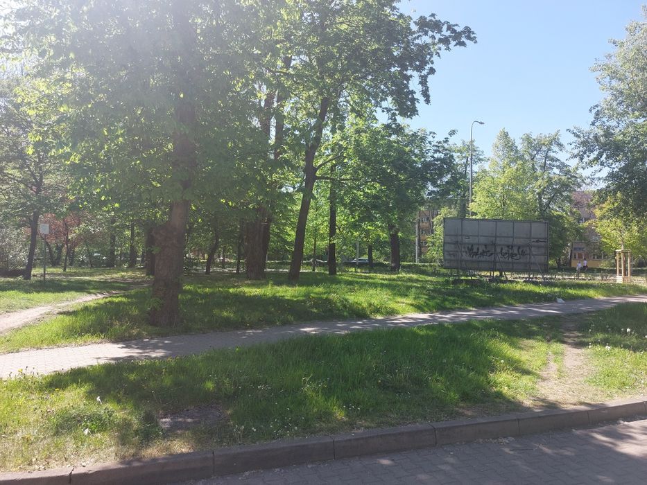 Zdjęcie 8