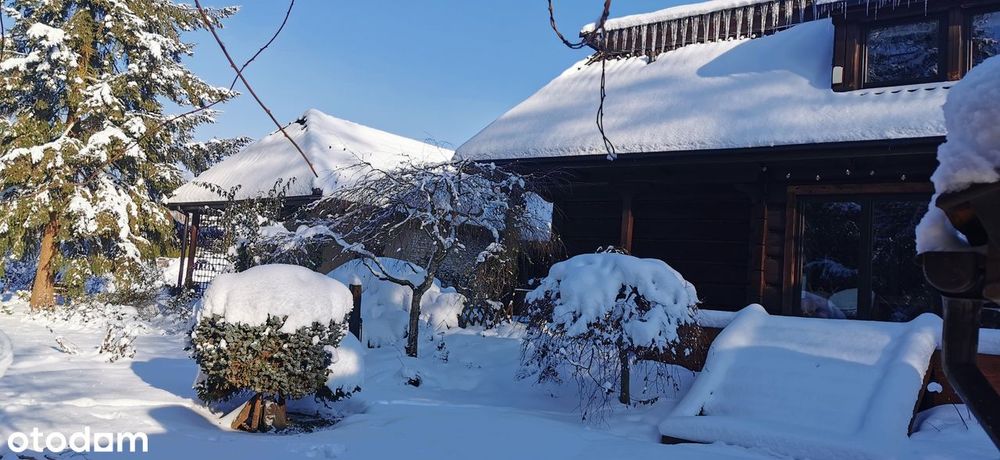 Siedlisko pod Krakowem | Las, strumień, studio | 2950 m²