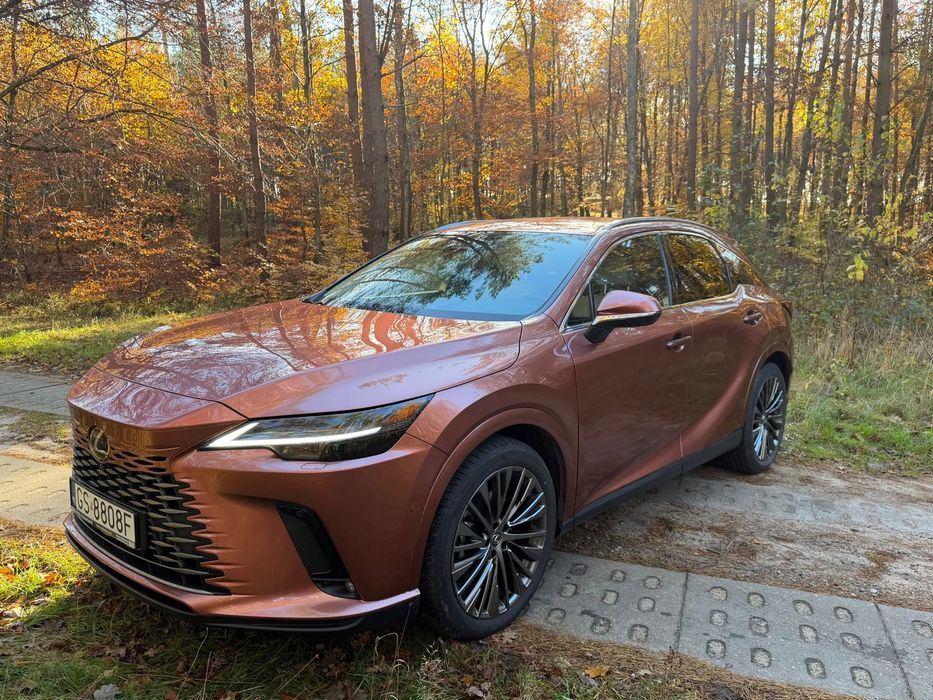 Lexus RX Lexus RX450 Plug-in Omotenashi Mark Levinson   1rej 2024 Fvat 23%