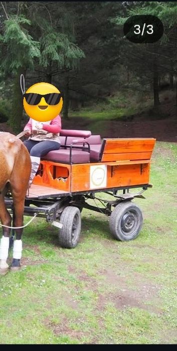 Vendo charrete praticamente nova