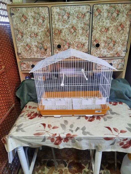 Gaiola Aves Exóticas