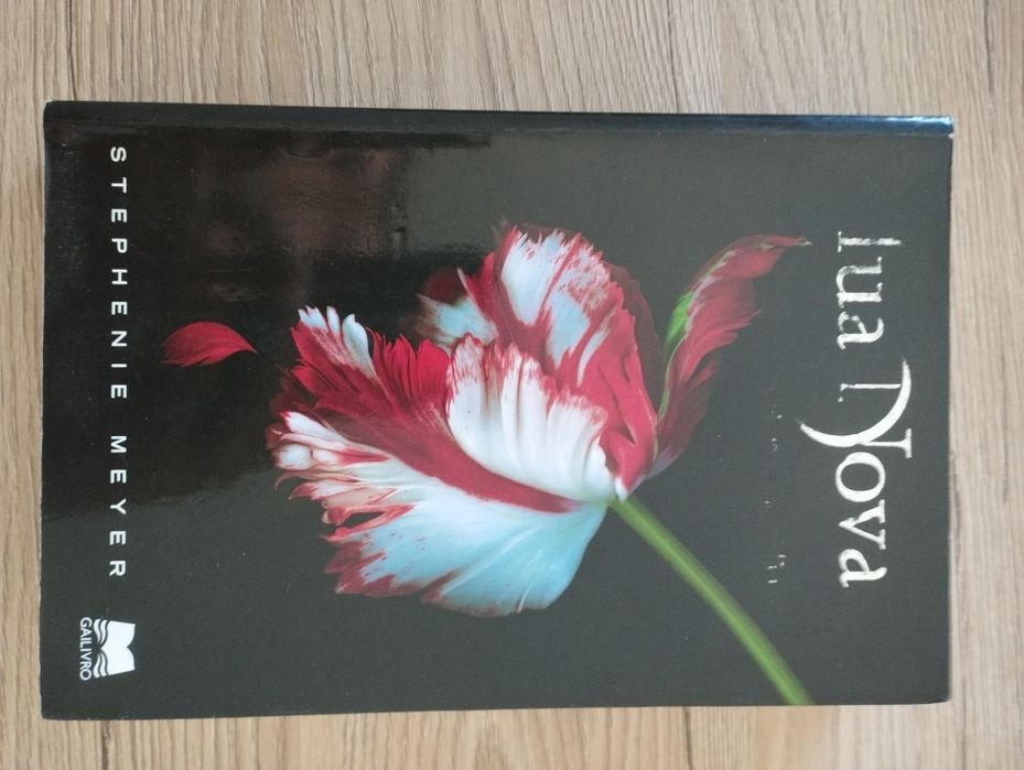 Livros de leitura diversos