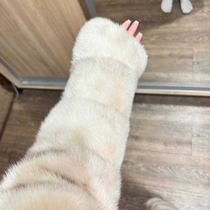 Шуба норковая р М 46