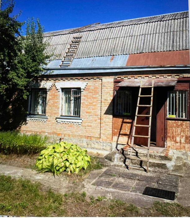 Продам будинок в селі Ольшаниця, Білоцерківський район