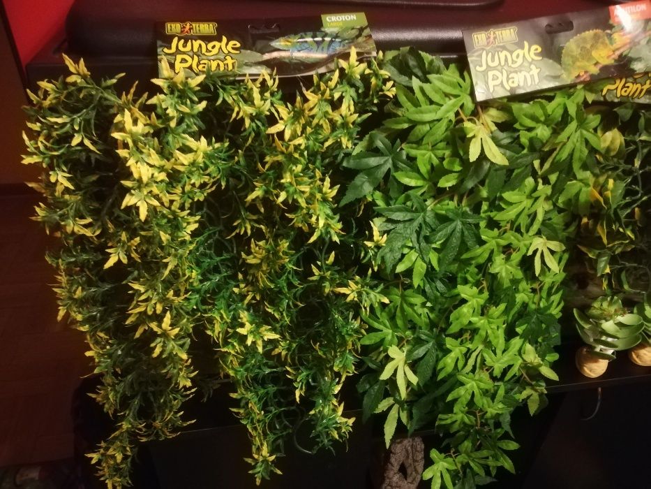TERRARIUM rośliny Exoterra nowe terarium