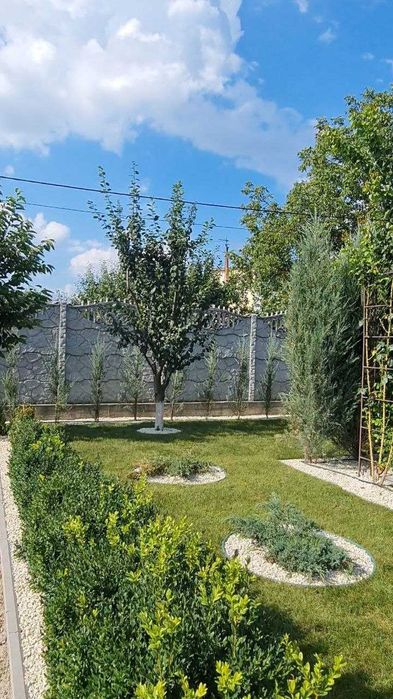 Знижки! Рулонний газон, Газон в рулонах і Посівний газон від Виробника