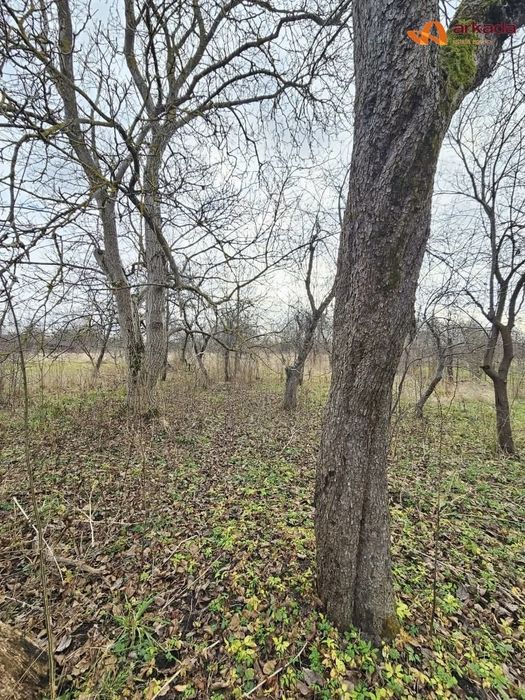 Будинок з земельною ділянкою