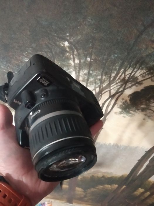 Цифровой зеркальный фотоаппарат Canon EOS350D
