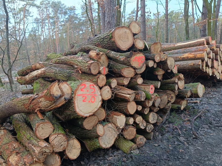 Drewno kominkowe Dębina/ Brzoza