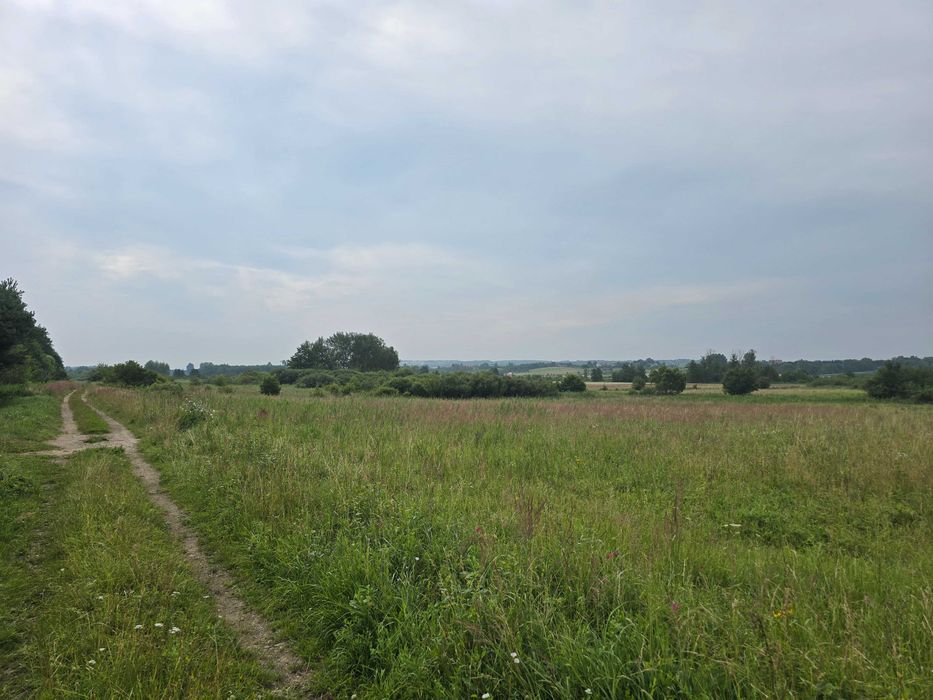 Działka pod staw i rekreacje 1.11ha - Mikułowice k.Buska-Zdroju - Więcej