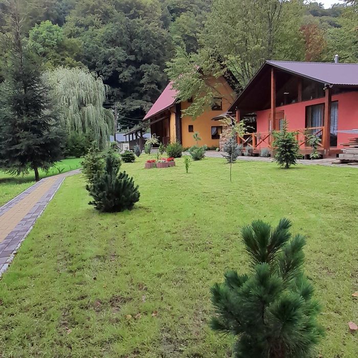 Котедж в заповідній зоні Карпати