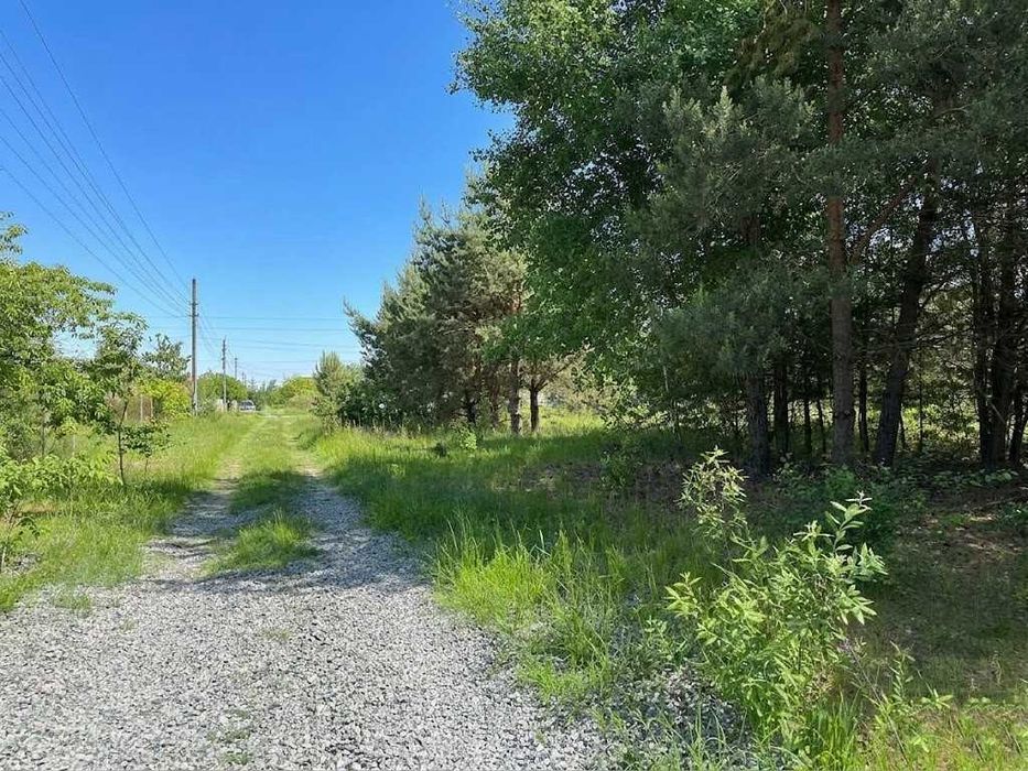 Продаж ділянки 12 соток для садівництва. Електрика поруч. Біля озера. ID:829
