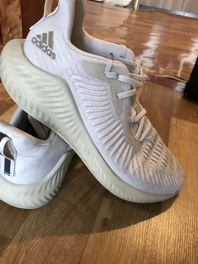 Adidas alphabounce olx hotsell