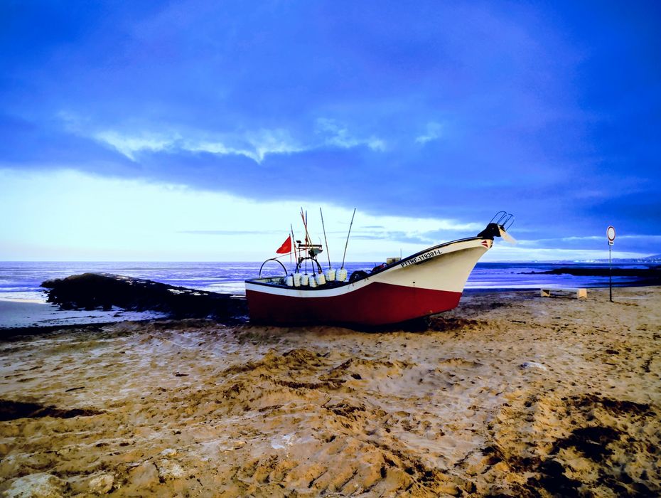 Apartamento T1, a 200 m da praia de Costa da Caparica, com varanda para a principal rua de comércio e restauração. Disponível em Setembro.