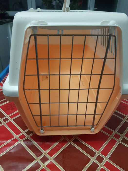 Caixa transporte gatos ou cães pequeno
