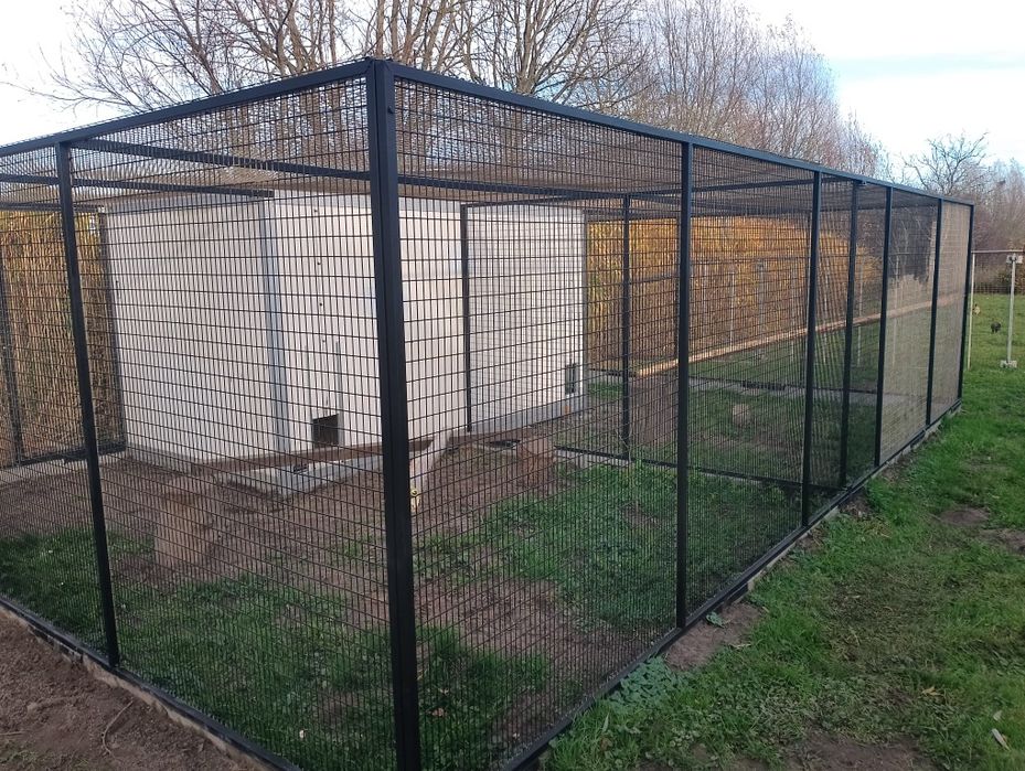 Woilera, klatka dla drobiu