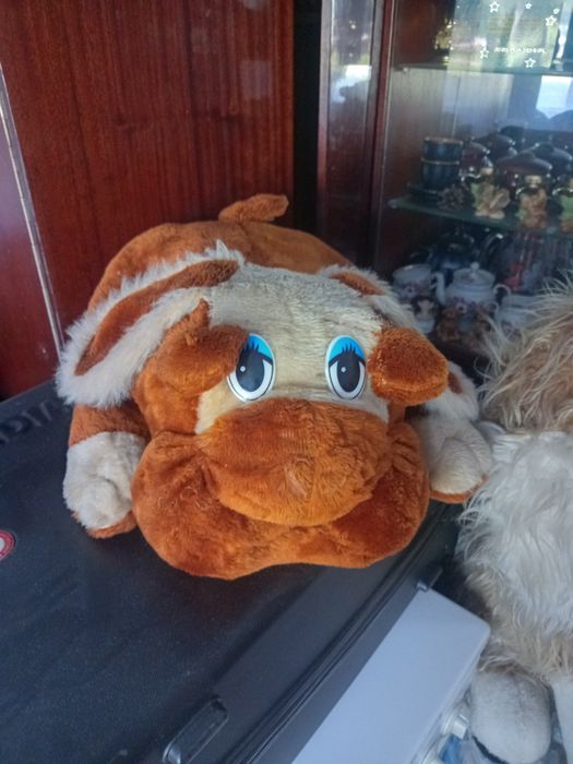 Віддам безкоштовно