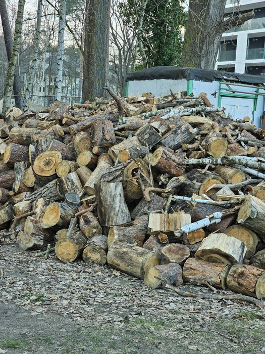 Drewno opałowe suche  pocięte sosna ,brzoza