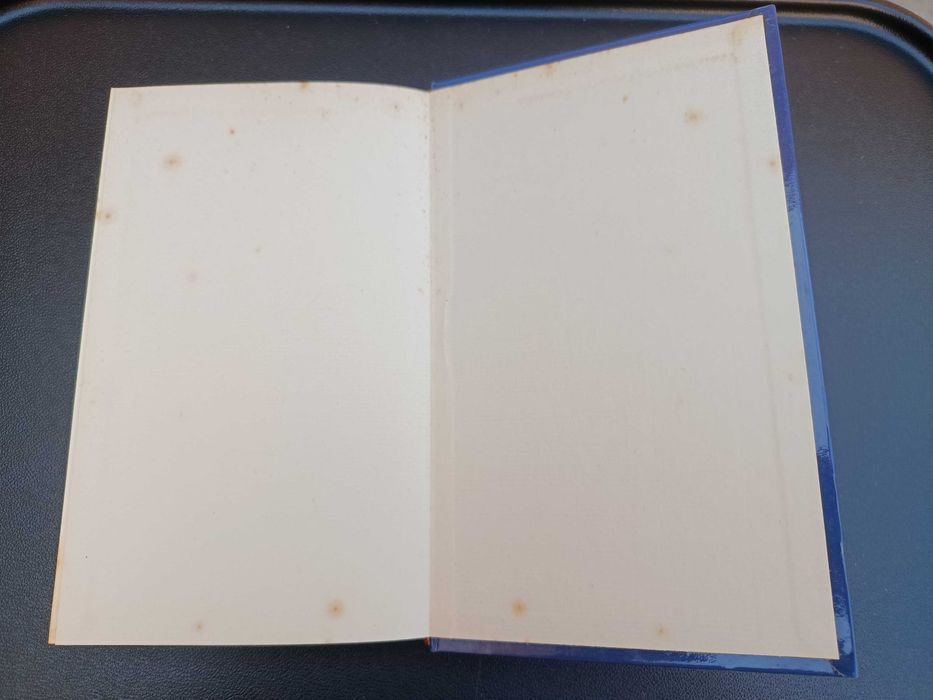 Livro "Alarme!", Konsalik