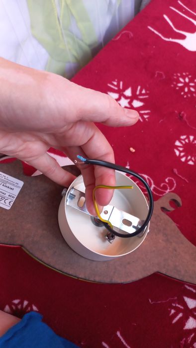 Бра, настінний світильник,  в дитячу, червоний, папуга, птах