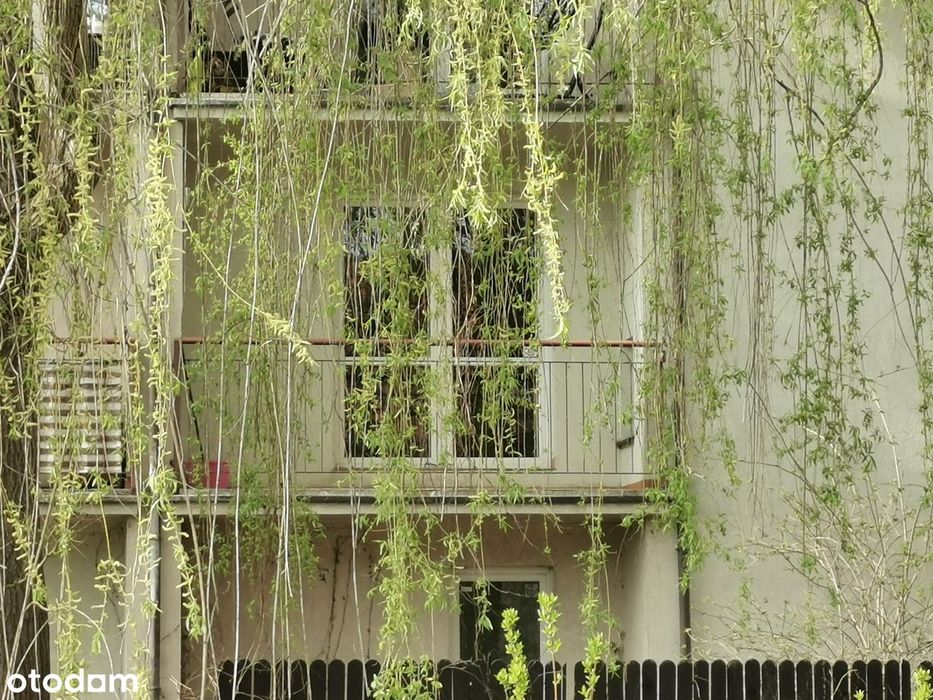 1-Pok, Parking, Balkon, Bezpośrednio