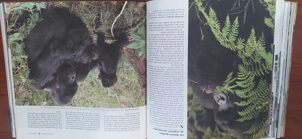 Livro "O Mundo Maravilhoso dos Animais Selvagens"