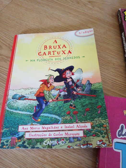 Livros variados jovens