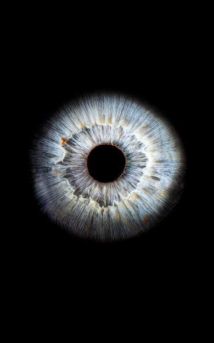 Sony FE 90mm f/2.8 Macro G OSS