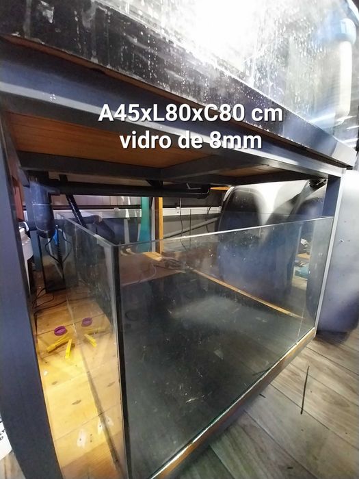 filtros, raspadores, aquários, etc.