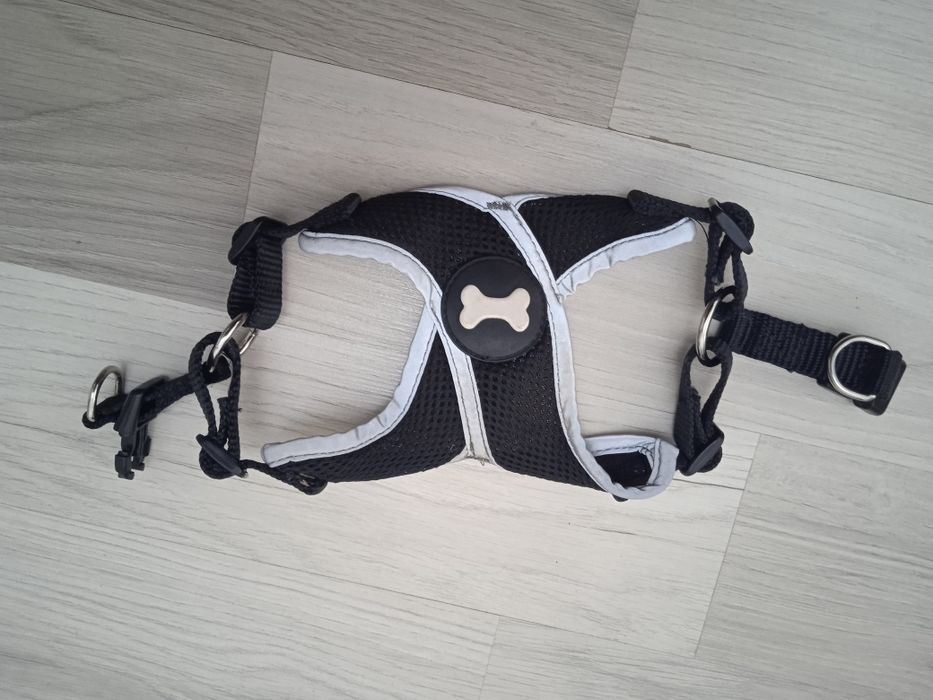 Ошийник Pets для маленької собачки