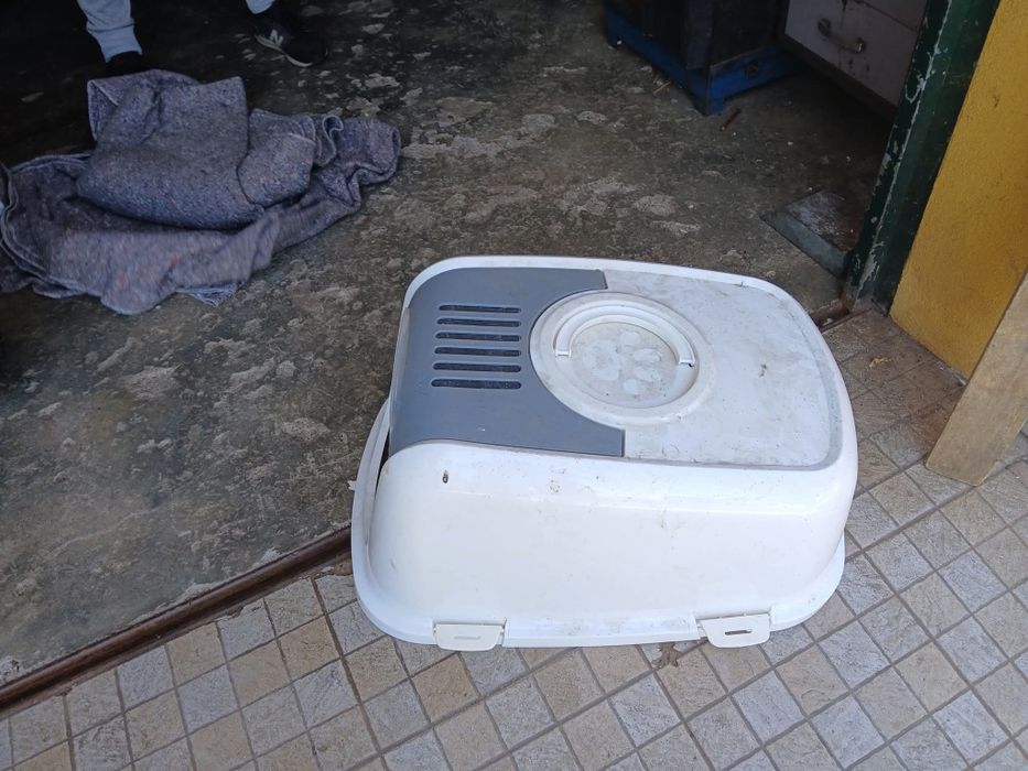 Casa de areia para gatos